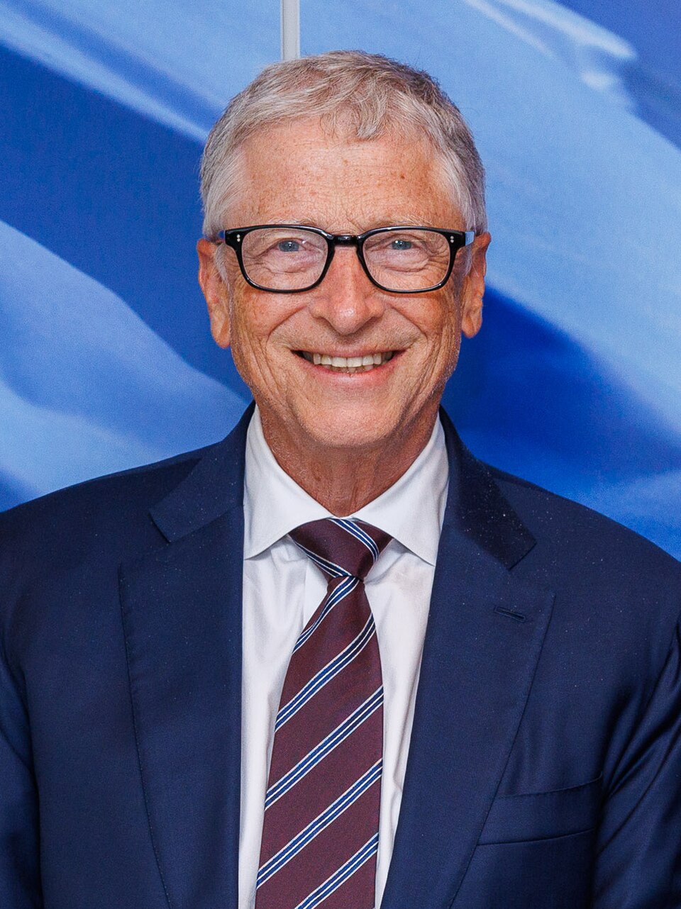 Bill Gates portrait
