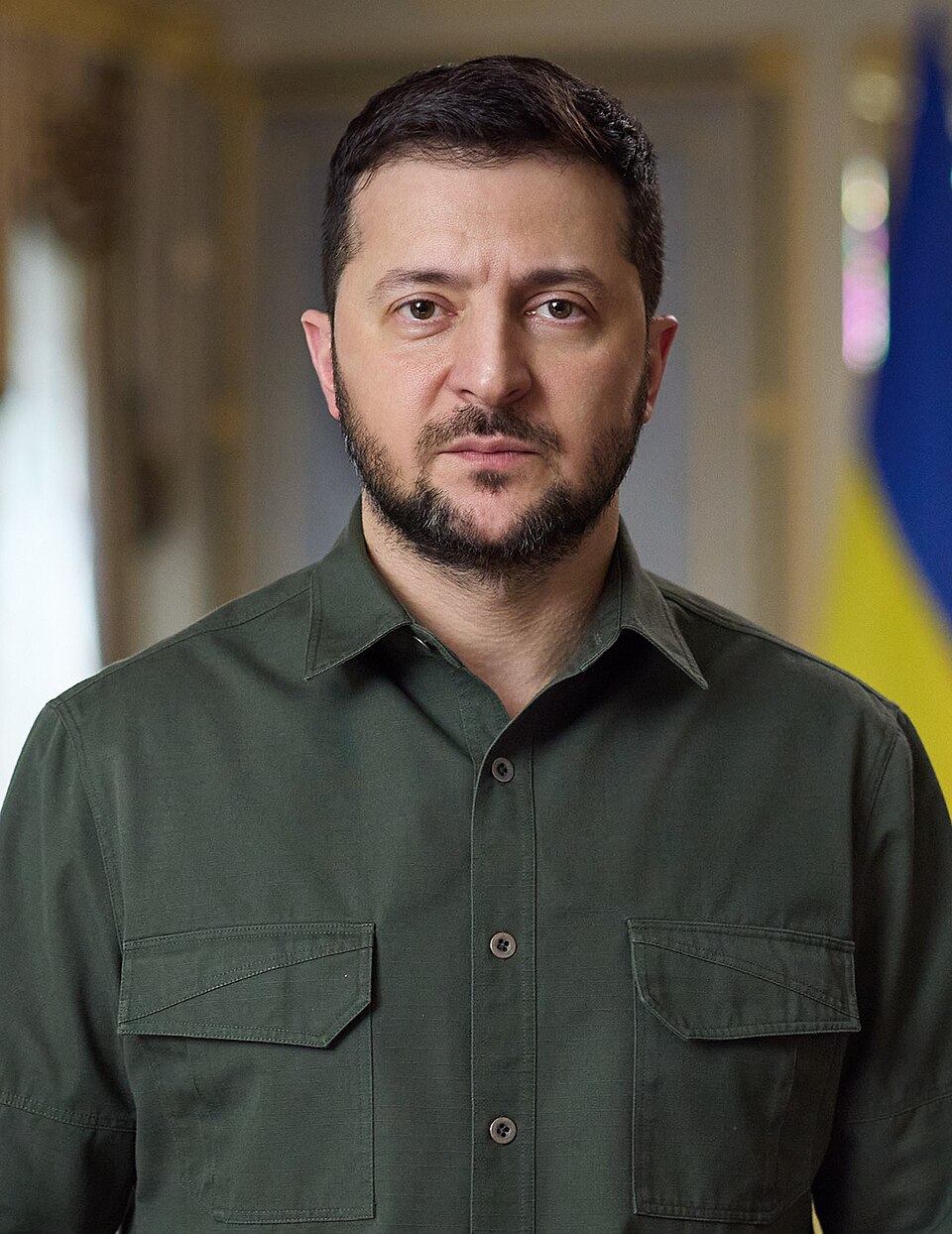 Volodymyr Zelenskyy portrait