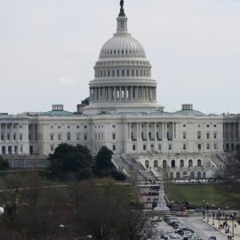 PolitiCap stock thumb — United States