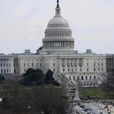 SINEMK deposition: Kyrsten Sinema admits affair with married bodyguard — PolitiCap civic market tape